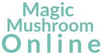 Magic Mushroom Online